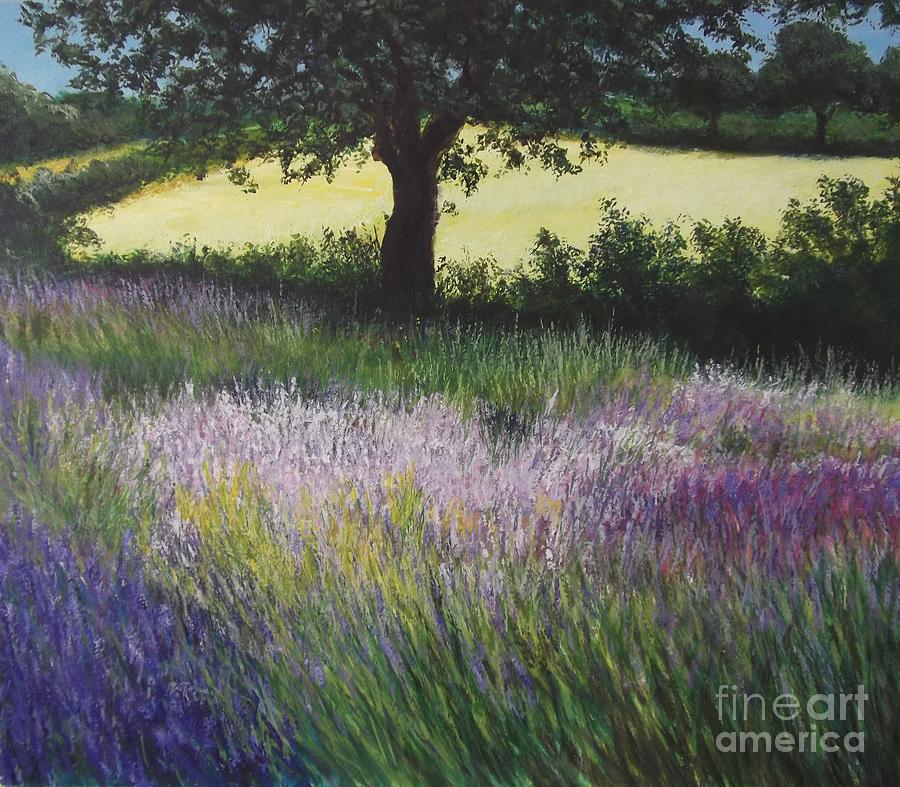 Nature Painting - Fields of Lavender, England by Lizzy Forrester