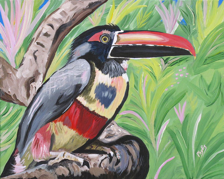 Fiery billed Aracari based on a painting by Larry Linton Painting by Phyllis Kaltenbach