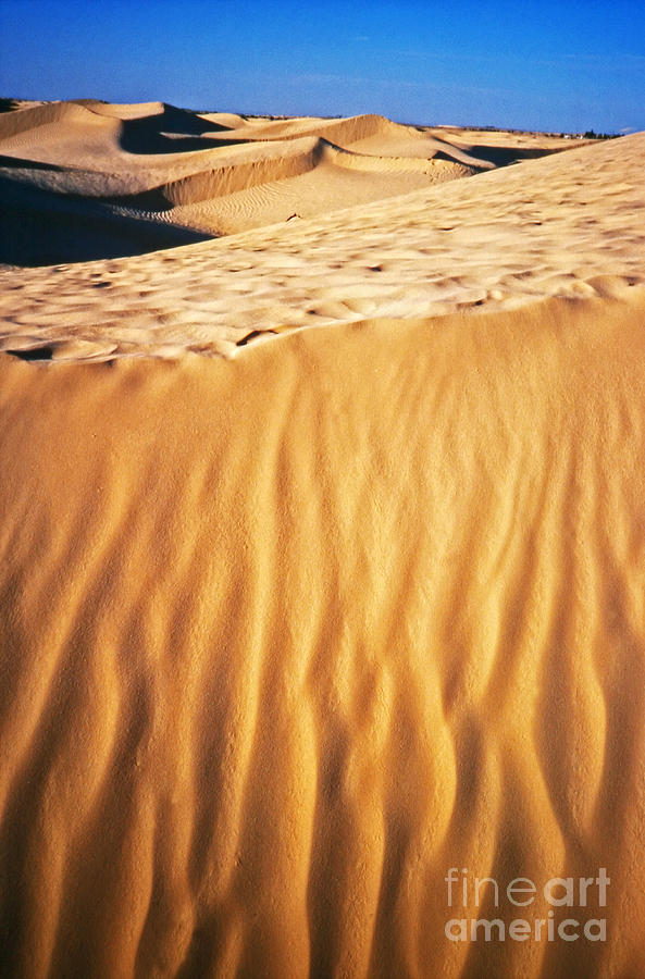 Fiery desert I Photograph by Silvia Ganora