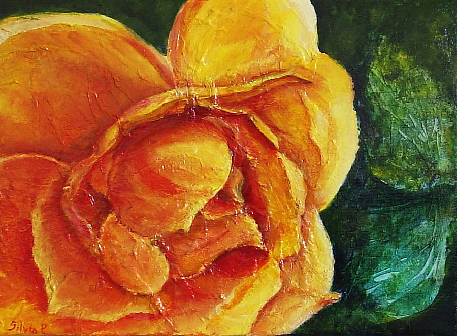 Fiery Rose Painting by Silvia Philippsohn