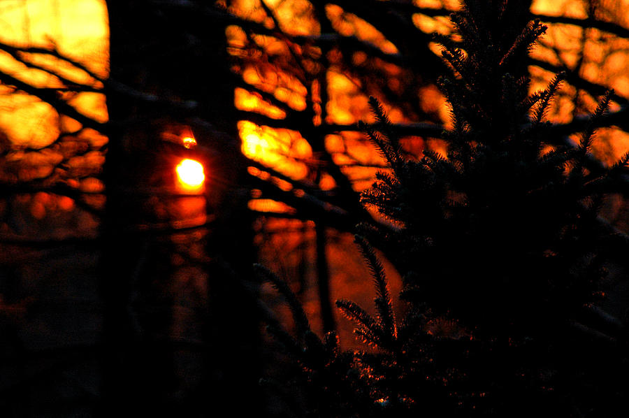 Fiery Sunrise Michigan Photograph by LeeAnn McLaneGoetz McLaneGoetzStudioLLCcom