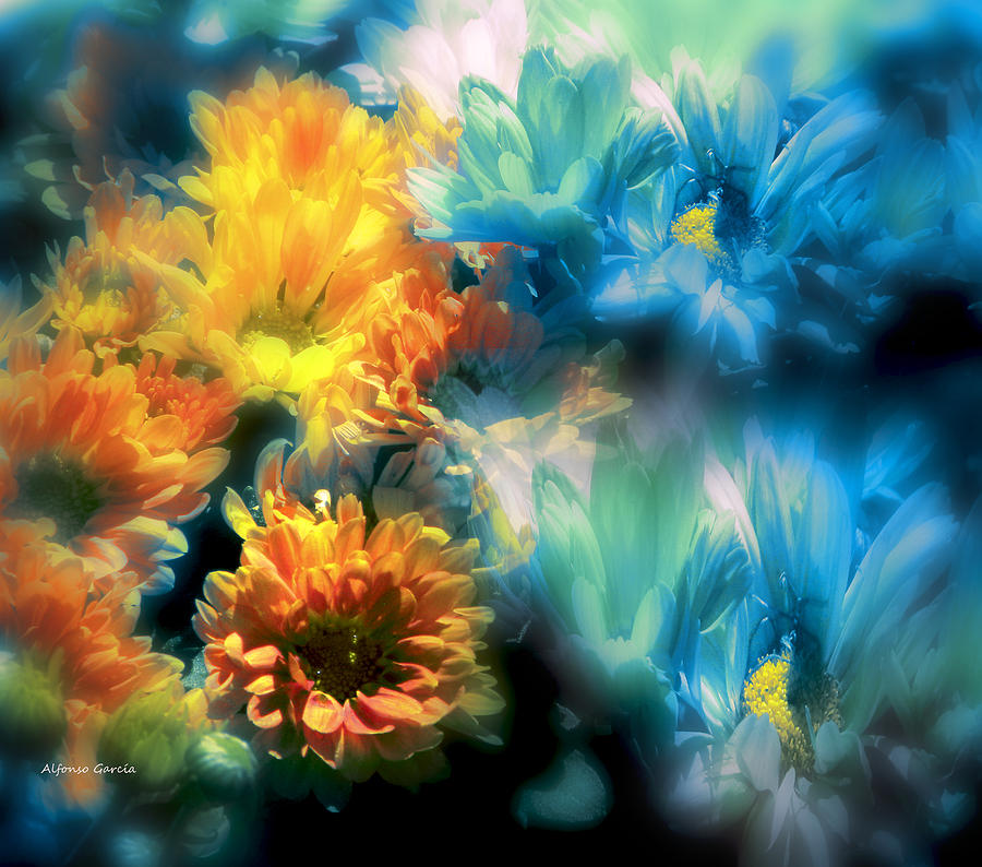 Fiesta Floral Photograph by Alfonso Garcia