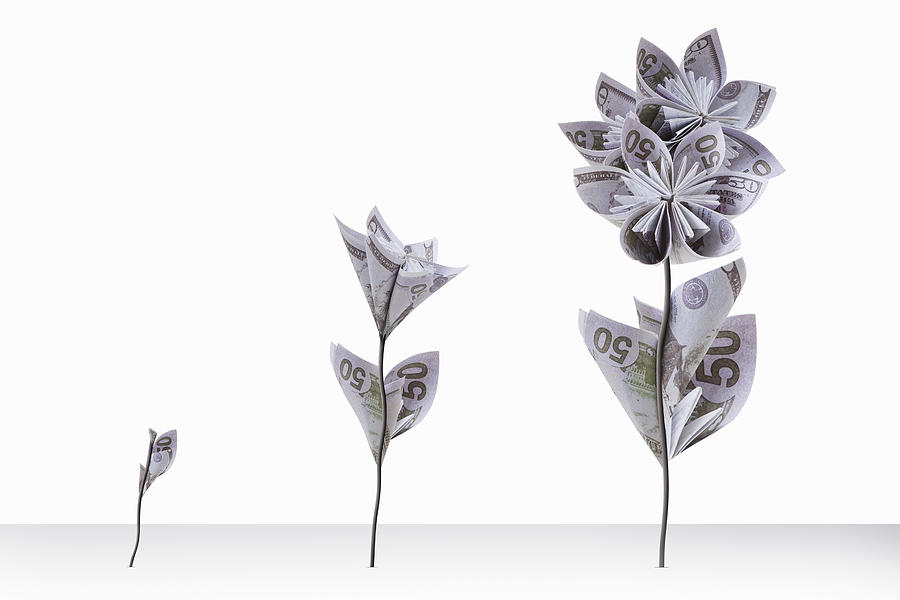 Fifty Us Dollar Note Flowers Photograph by Andrew Bret Wallis Fifty Us Dollar Note Flowers Photograph by Andrew Bret Wallis