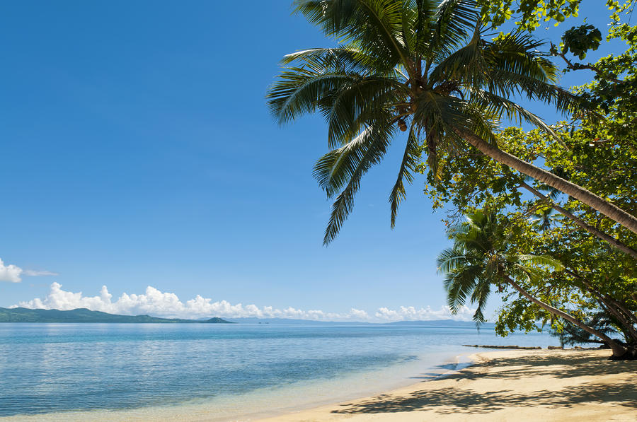 Fiji Beach Scene Photograph by Greg Vaughn - Printscapes