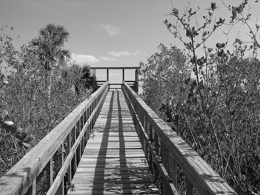 Black And White Photograph - Final Entrance by Bill Lucas