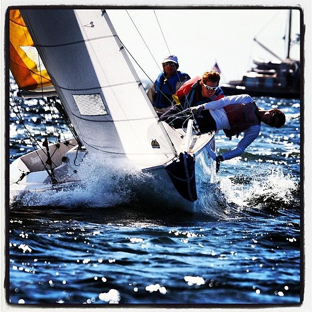 Final Race Of Us Sailing Match Racing Photograph by Leighton OConnor