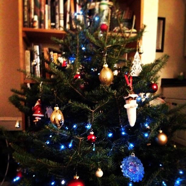 Finally Decorated Our Christmas Tree!! Photograph by Thayer Newport