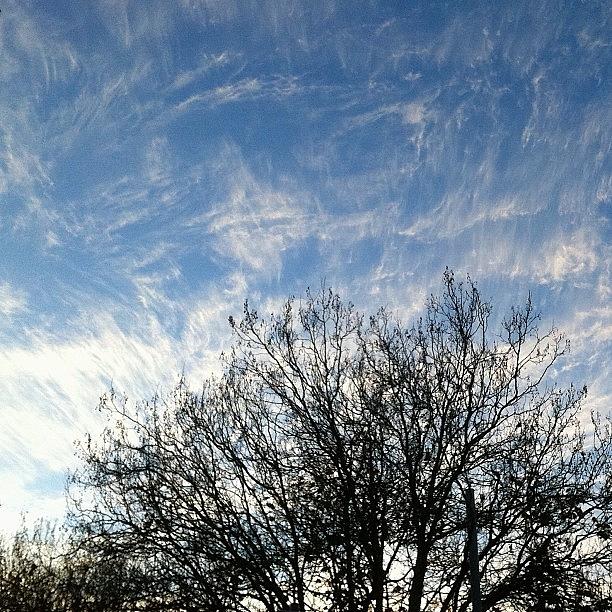 Fine Clouds This Morning Photograph by Odie Ysn