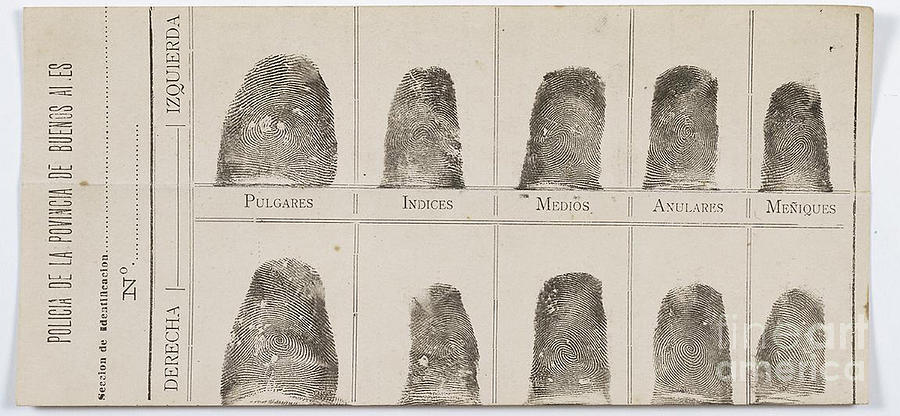 Fingerprint Card, 1892 Photograph by Science Source