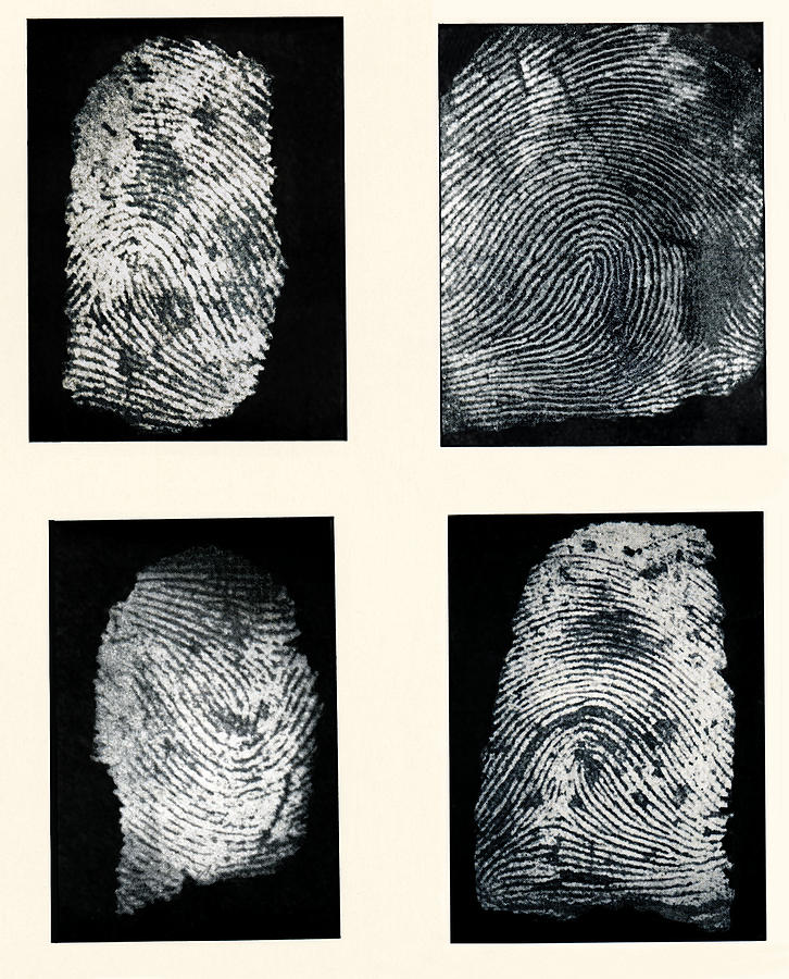 fingerprint ink