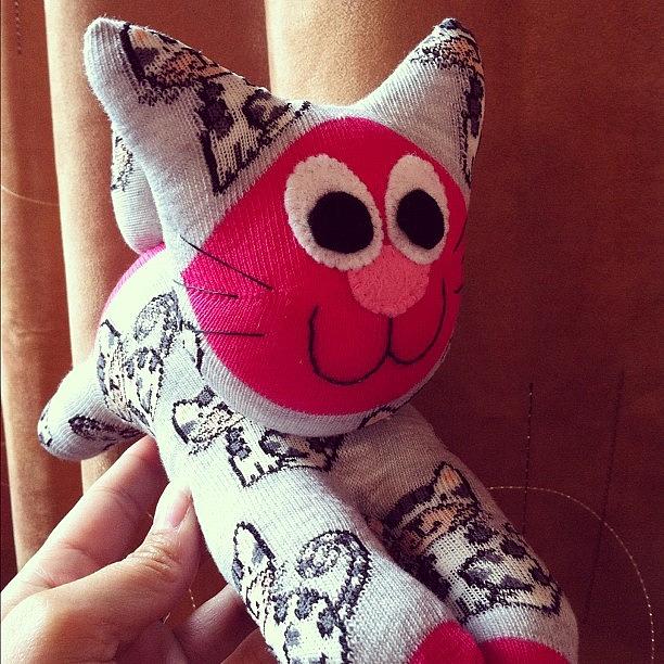 Cat Photograph - Finished #product!! #sock #cat by Emma  Maudsley