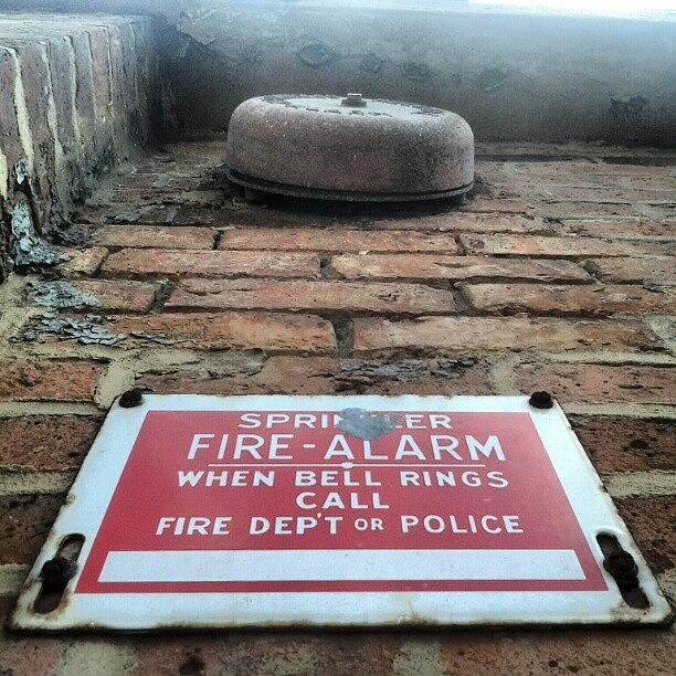 Vintage Photograph - Fire-alarm #albany #ny #downtown by Haley BCU