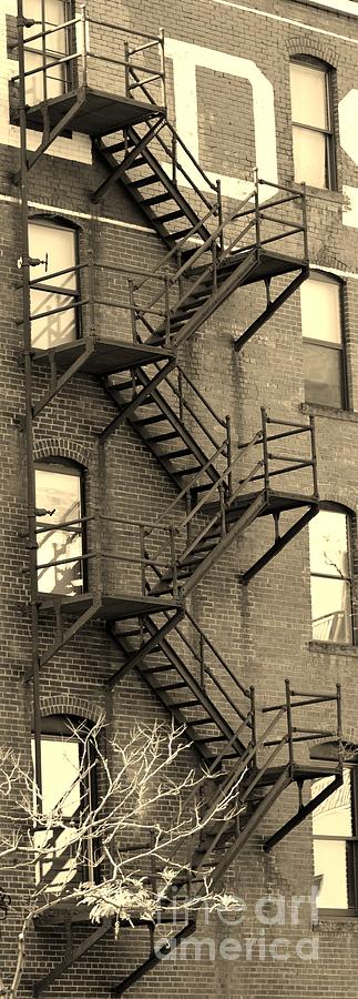 Fire Escape 3 Photograph by Paulina Roybal