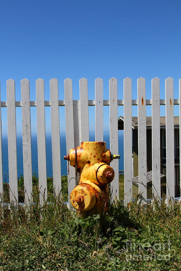 Fire Hydrant At The Point Reyes Lighthouse in California 7D16027 Photograph by Wingsdomain Art and Photography