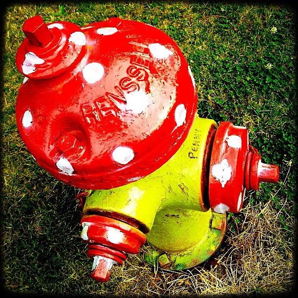 Igers Photograph - Fire Hydrant! Mushroom! #instagood by Kevin Smith