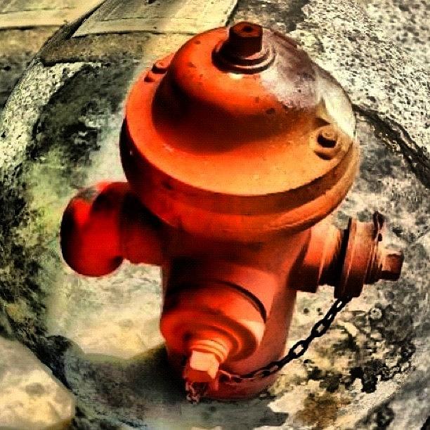 Instagram Photograph - Fire Hydrant by OpɹᏌnpǝ 