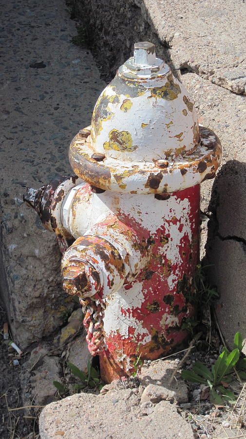 Fire Hydrant Photograph by Sandy Tracey