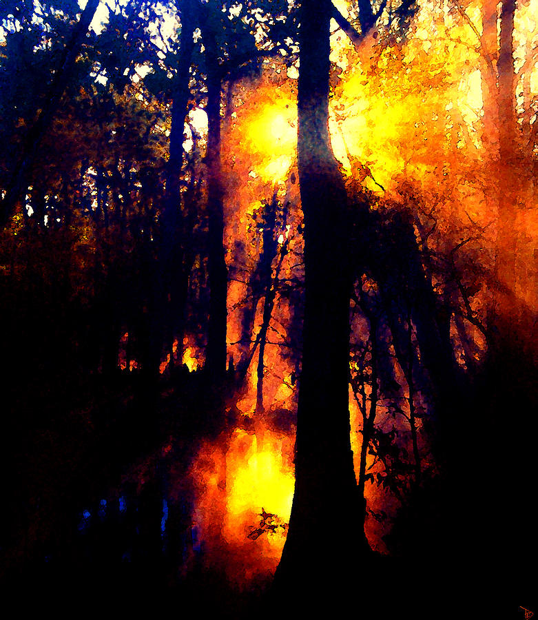 Fire in the morning Painting by David Lee Thompson