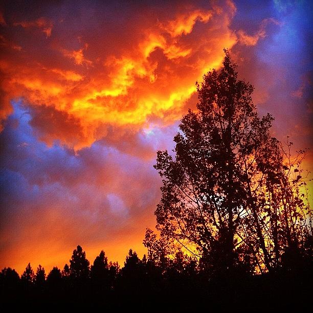 Sunset Photograph - Fire in the Sky by Adam Lawrence