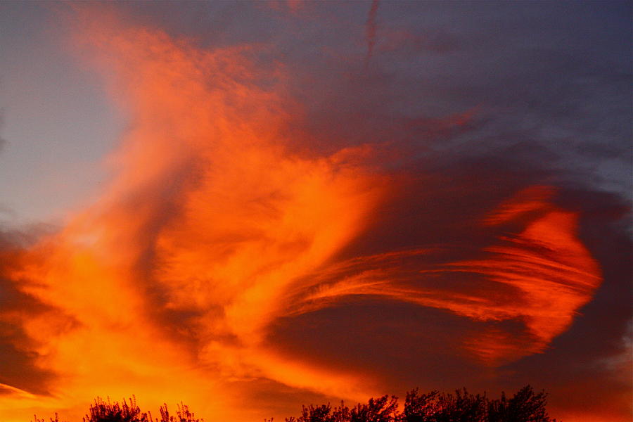Fire In The Sky Photograph by Diana Hatcher