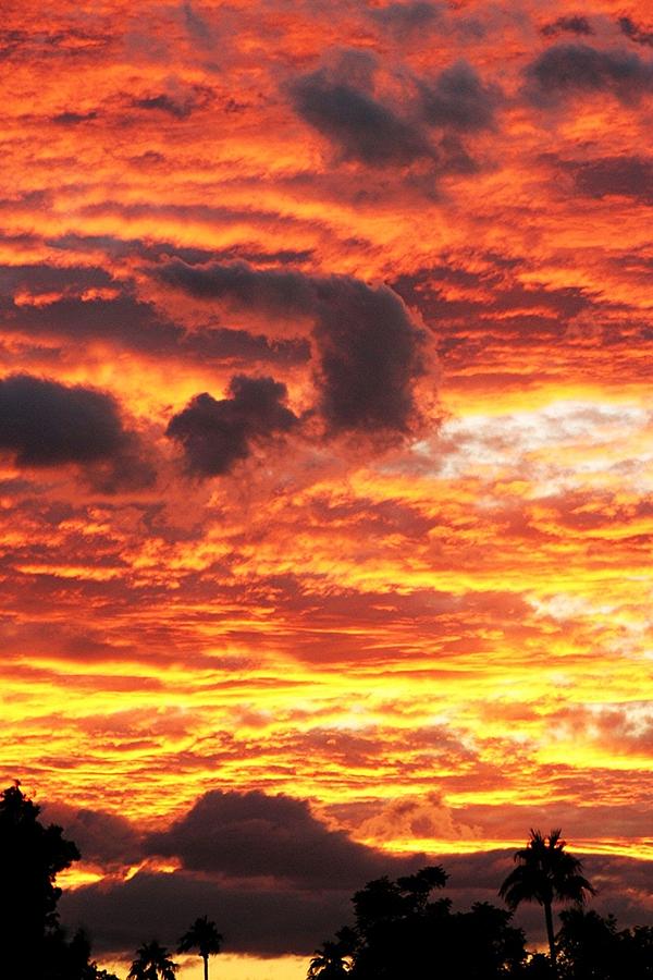 Nature Photograph - Fire In The Sky by Louise Mingua