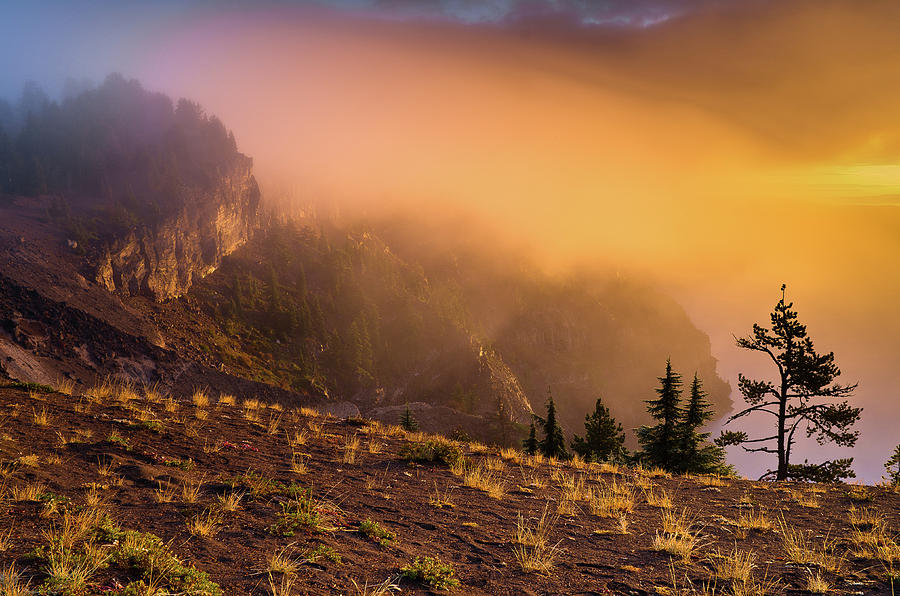 Fire Mists Photograph by Greg Nyquist