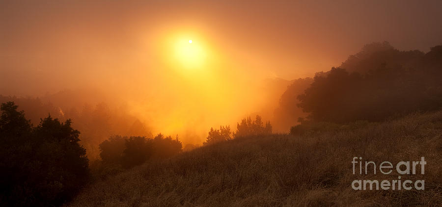 Sunset Photograph - Fire on the Hillside by Matt Tilghman