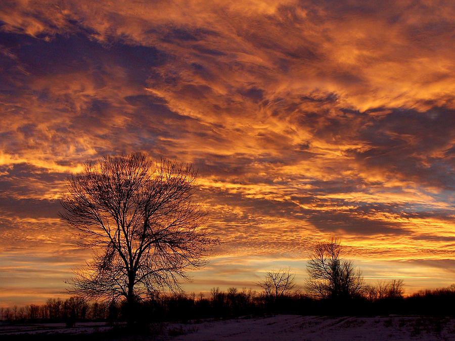 Fire Painted In the Sky Photograph by Bill Pevlor