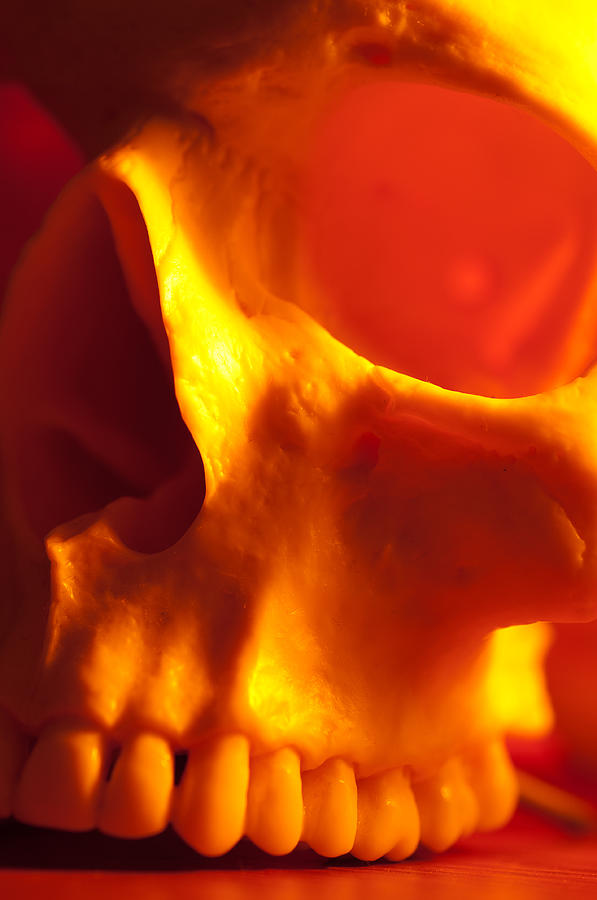 Skull Photograph - Fire Skull by Alex Rios