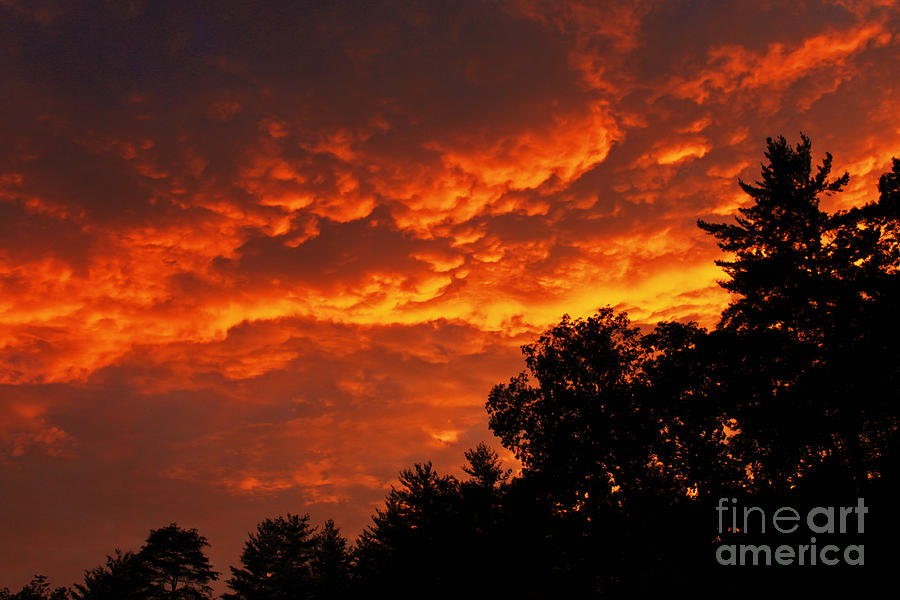 Fire Sky Photograph by Lena Auxier