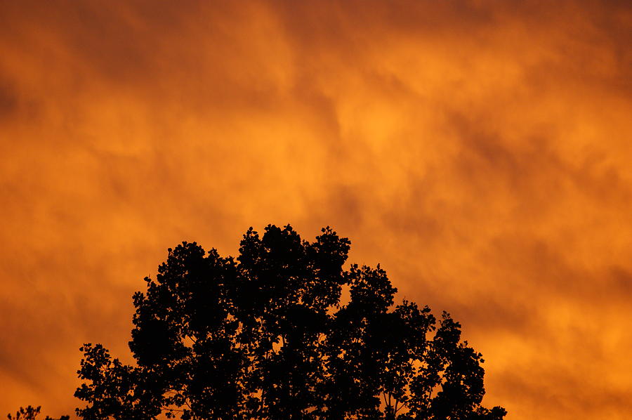 Fire Sky Photograph by Maria  Wall