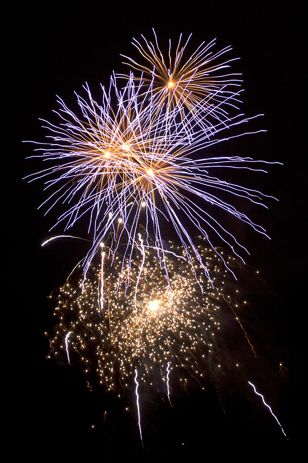 Firework Blooms Photograph by Rick Parrott - Fine Art America