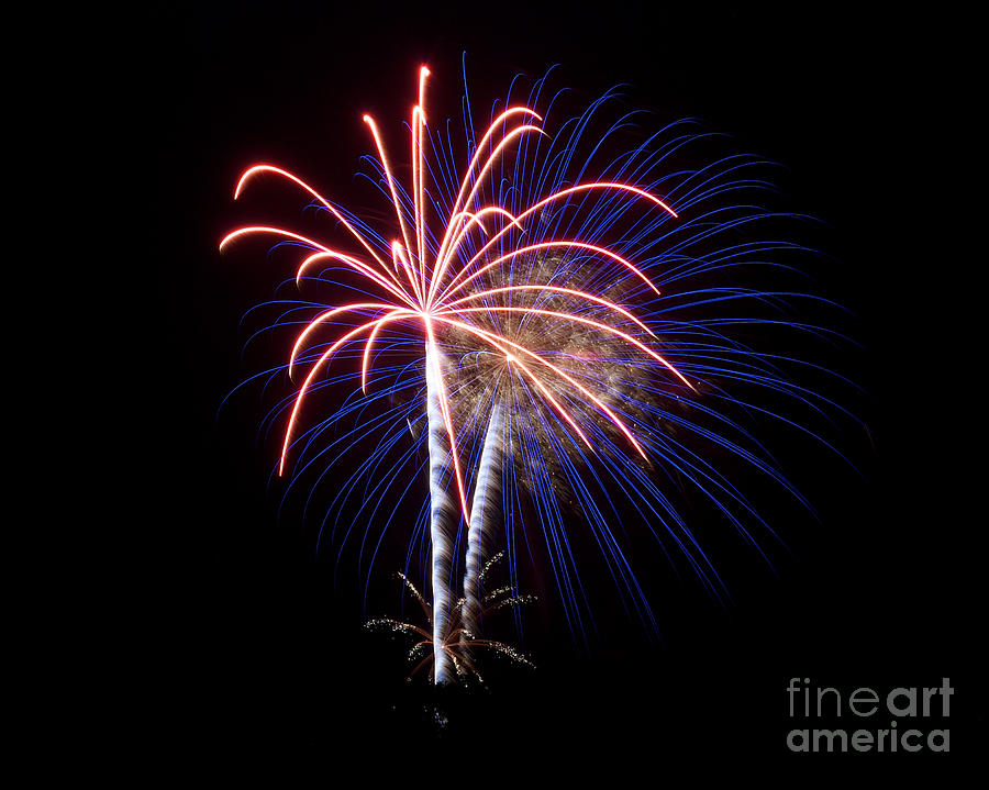 Fireworks 12 Photograph by Mark Dodd