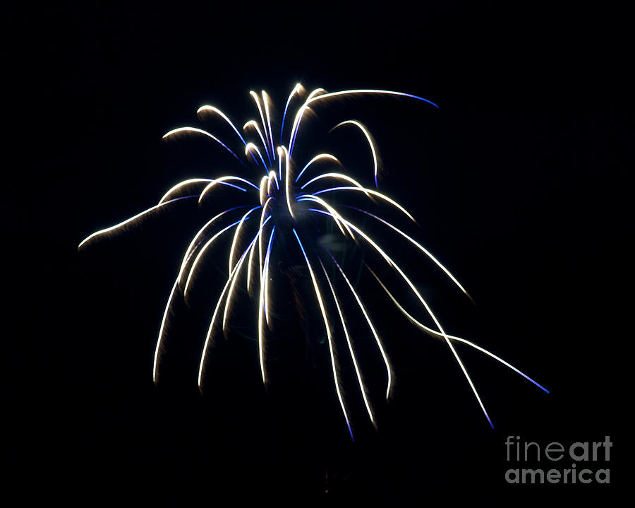 Fireworks 4 Photograph by Mark Dodd