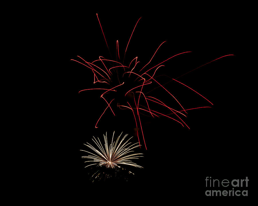 Fireworks 6 Photograph by Mark Dodd