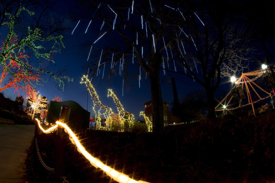 Fireworks And Giraffes In Xmas Lights Photograph by Sven Brogren