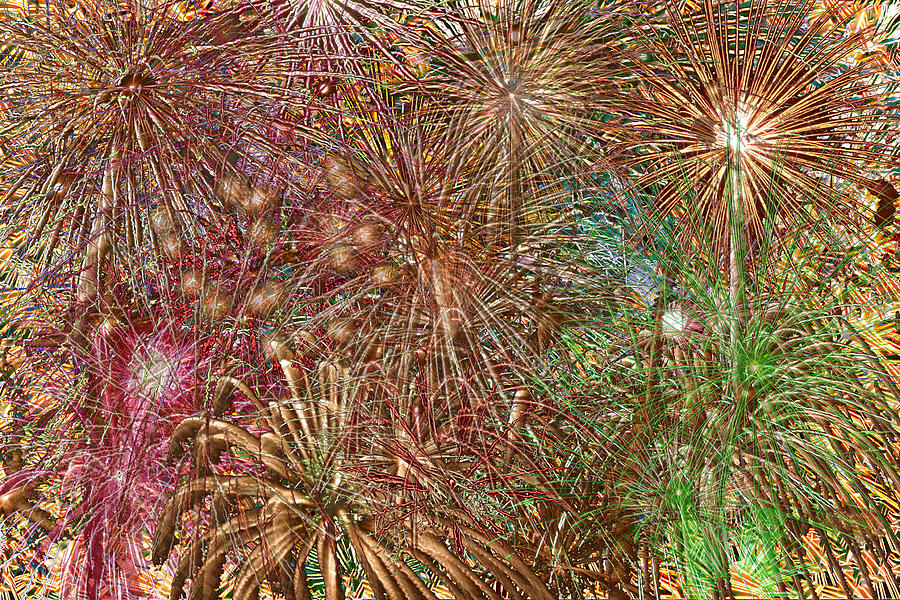 Fireworks Composite Photograph by Gregory Scott