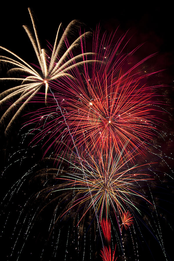 Fireworks Photograph by Garry Gay