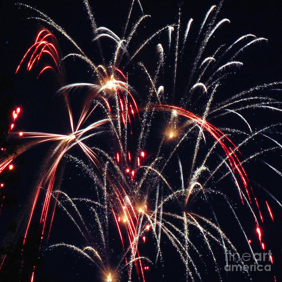 Fireworks Two Photograph by Ronald Grogan