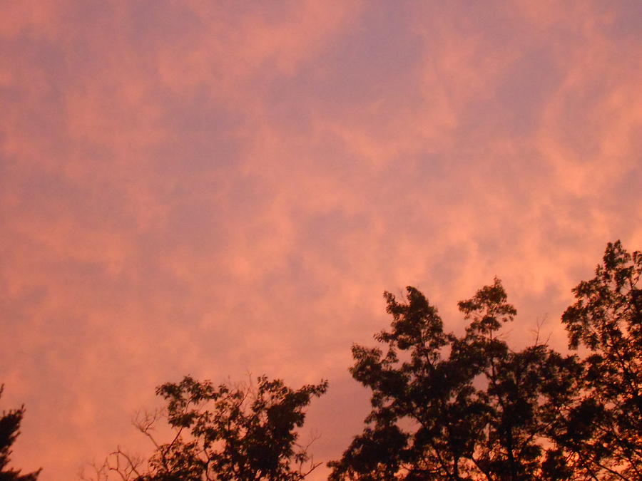 Firey Summer Sky at Sunset Photograph by Lila Mattison