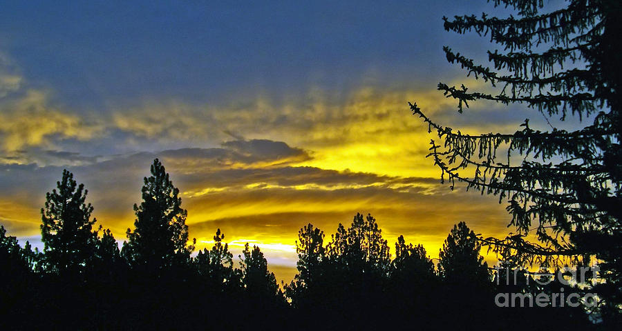 Firey Sunrise Photograph by Gary Brandes