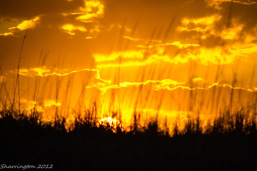 Firey Sunset Photograph by Shannon Harrington