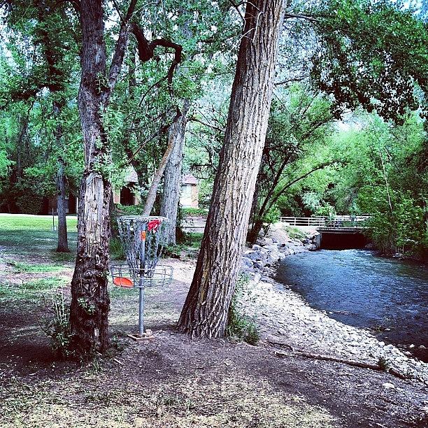 Discgolf Photograph - First Birdie Of The Day :) #summertime by Kenyon Cotton