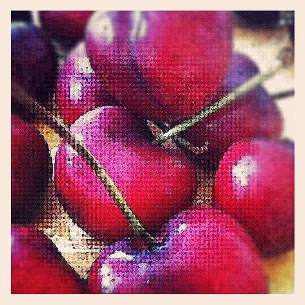 Fruit Photograph - #first #cherry #fruit #étéwhen ? by Sophie Ricq