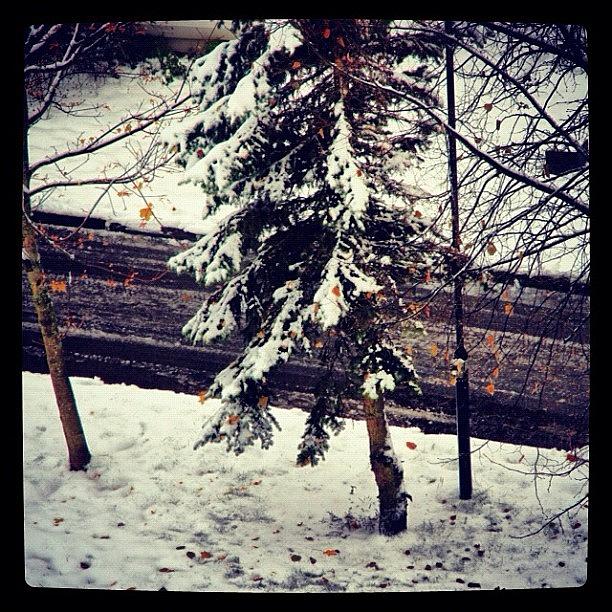 First Day Of Snow In Oslo, Winter Once Photograph by Kiko Bustamante