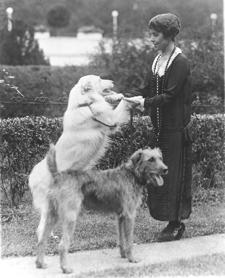 First Lady Grace Coolidge 1879-1957 Photograph by Everett - Fine Art ...