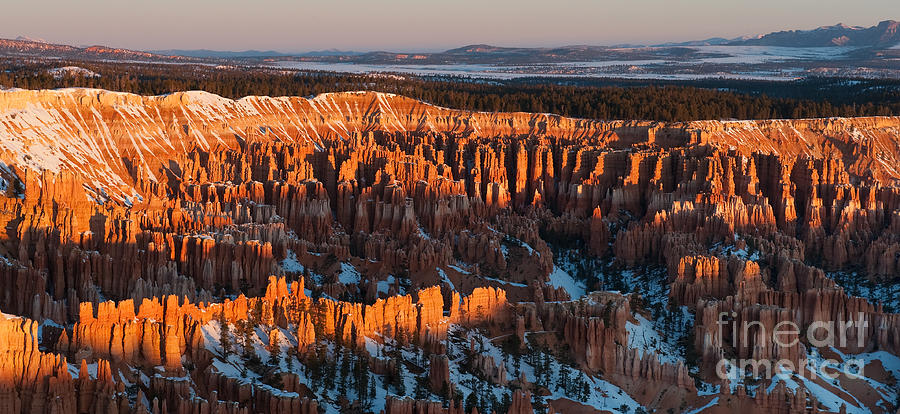 First Light at Bryce Canyon Photograph by Sandra Bronstein