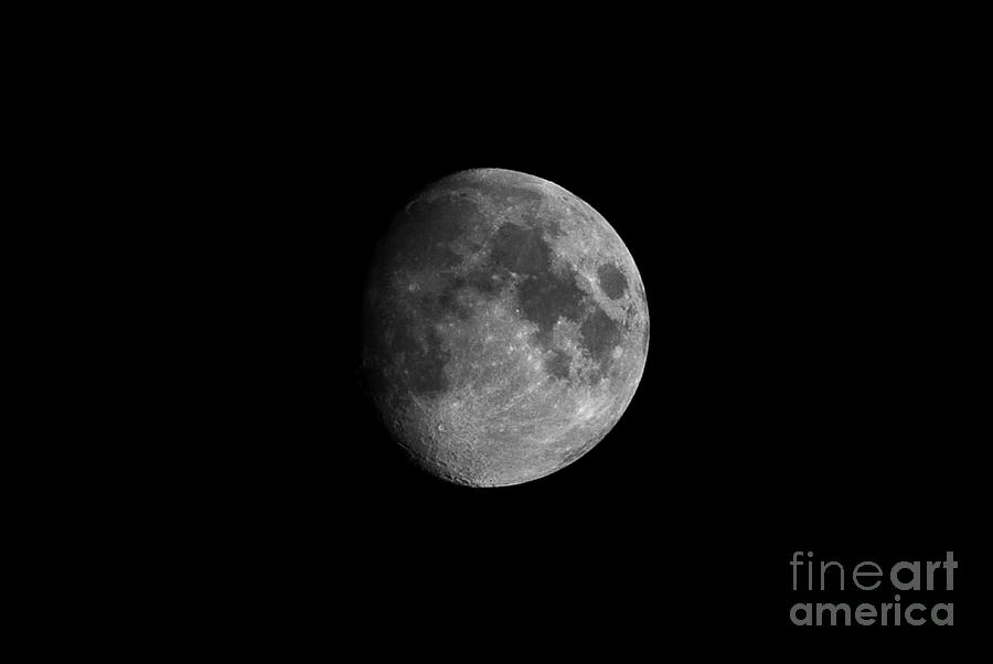 First Quarter Moon Photograph by Yhun Suarez