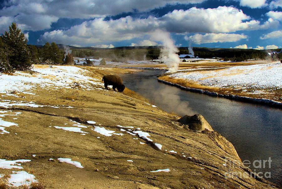 Yellowstone National Park Photograph - First Snow At Yellowstone by Adam Jewell