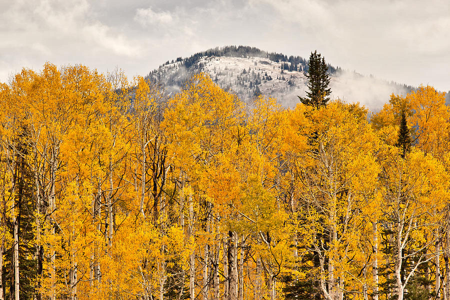 First Snow Near Steamboat Springs CO Photograph by Larry Darnell